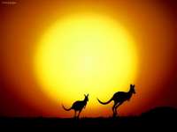 Animaux (Animals)
