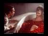fond d'cran d'American Beauty