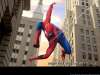 fond d'cran de Spiderman