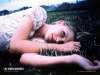 fond d'cran de Virgin Suicides