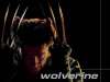 X-Men wallpaper
