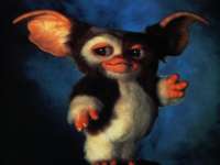 http://www.boolsite.net/images/previews/Cinema/_prev/Gremlins-Gizmo.jpg