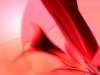 54/104 fond cran