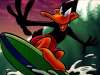 fond d'cran de Looney Tunes