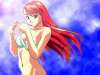24/43 fond cran