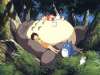 Mon voisin Totoro (Mon voisin Totoro)