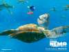 Finding Nemo wallpaper