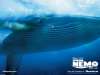 Finding Nemo wallpaper