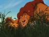 fond d'cran du Roi Lion