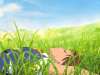 Neko no ongaeshi (Royaume des chats)