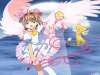 fond d'cran de Sakura