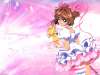 fond d'cran de Sakura