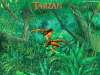 Tarzan wallpaper