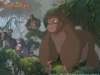 Tarzan wallpaper