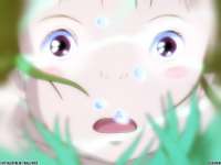 fond d'écran du Voyage de Chihiro