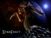 fond d'cran de Starcraft