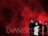 fond d'cran d'Evanescence