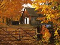 Www.Asheghane.IR Autumn wallpaper