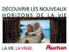 6/6 fond cran