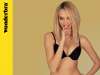 Wonderbra wallpaper