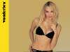 Wonderbra wallpaper