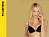 Wonderbra wallpaper