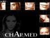 Charmed wallpaper