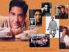 Friends wallpaper