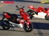fond d'cran de Scooter