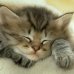 avatar de Milou35