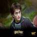 avatar de harry potter